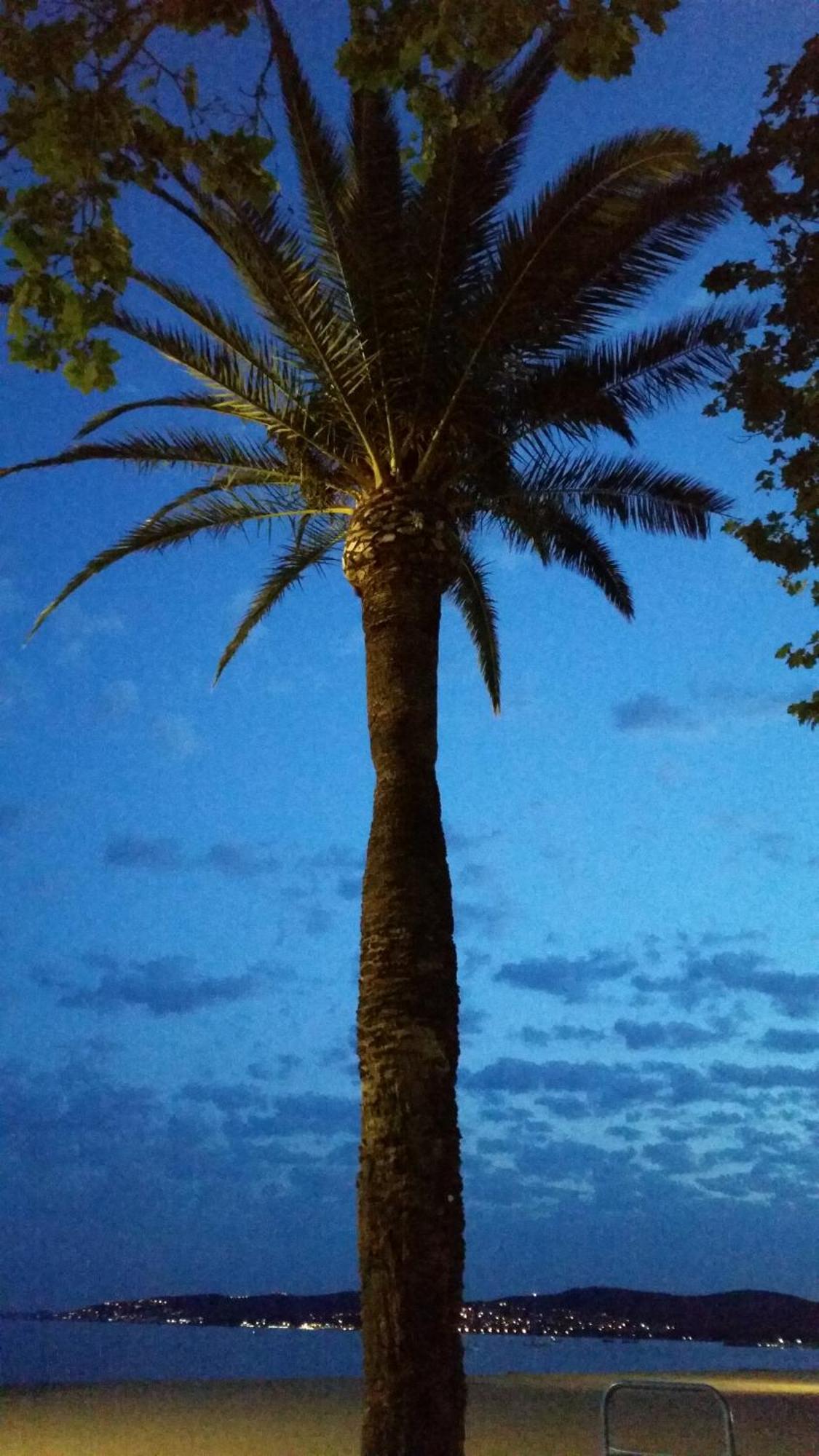 Sublime Vue Mer,Parking,Wifi Fréjus Kültér fotó